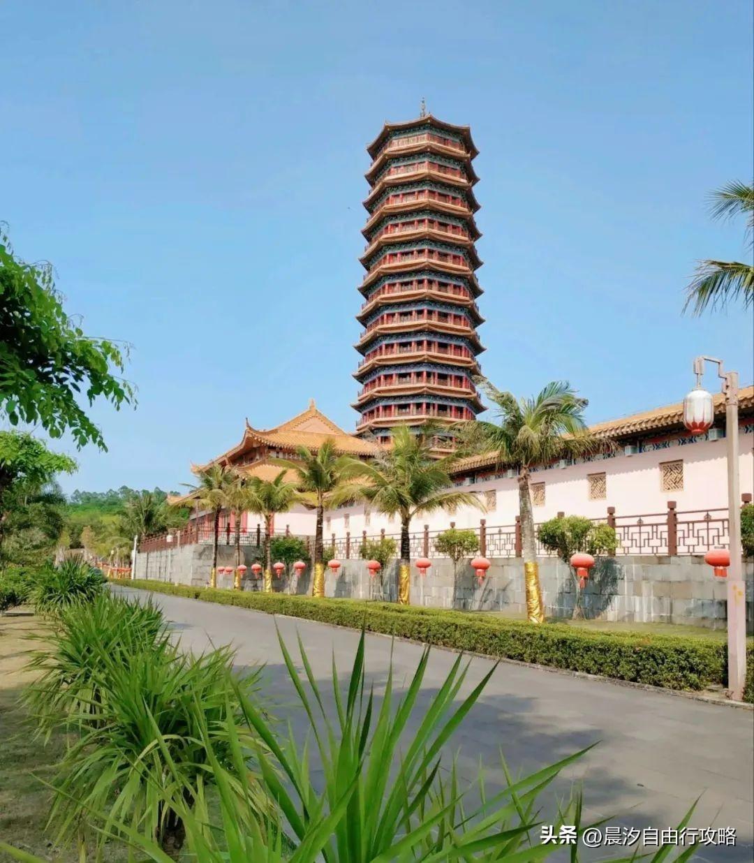 桥头富硒地瓜种植户