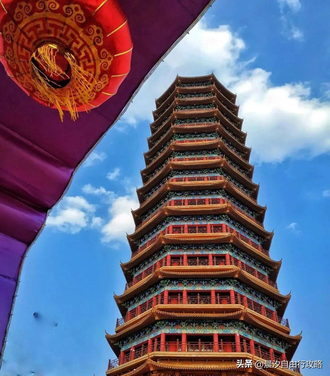 桥头富硒地瓜种植户