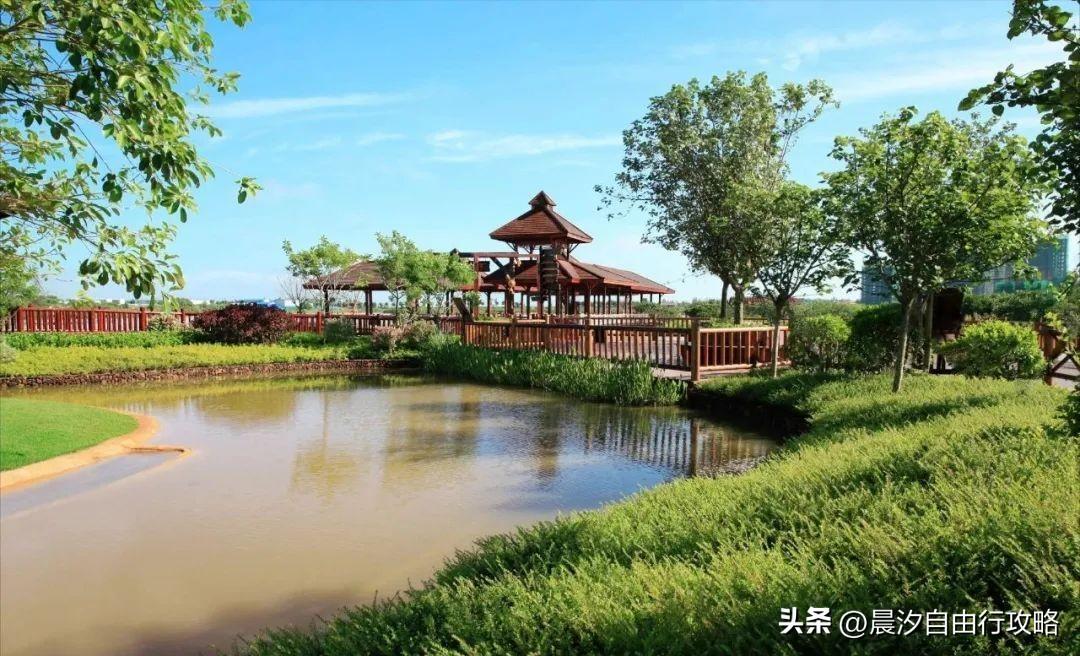 桥头富硒地瓜种植户