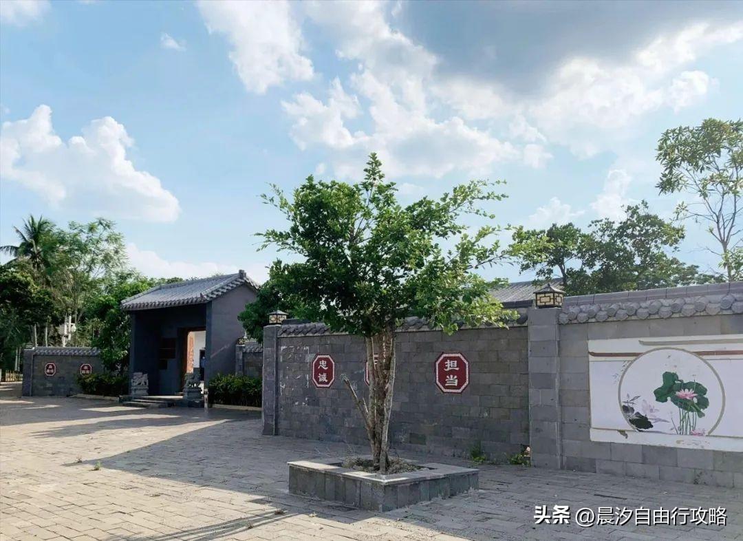 桥头富硒地瓜种植户