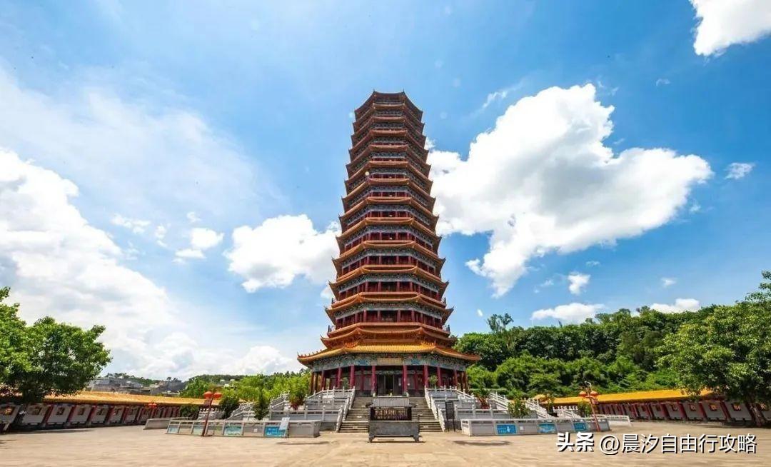 桥头富硒地瓜种植户