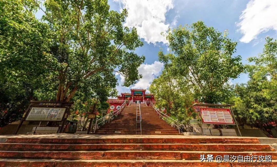 桥头富硒地瓜种植户
