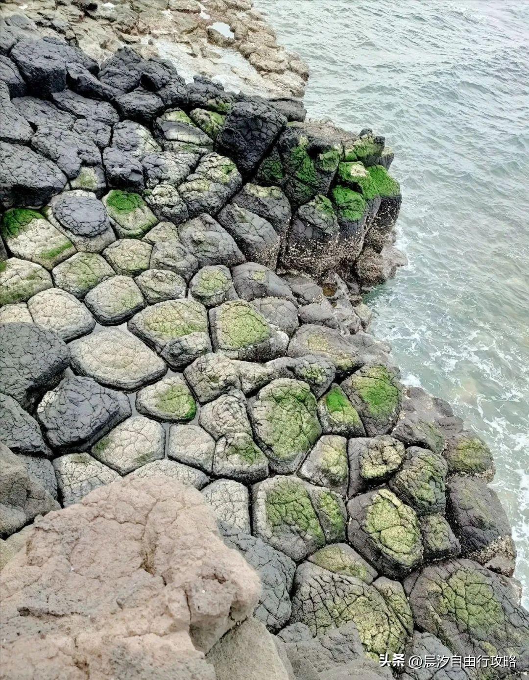 桥头富硒地瓜种植户