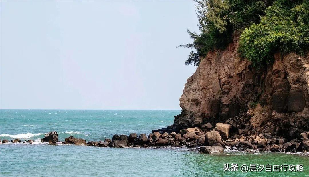 桥头富硒地瓜种植户