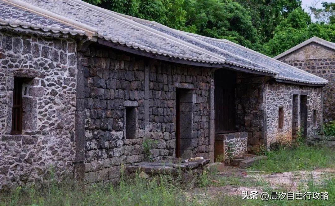 桥头富硒地瓜种植户