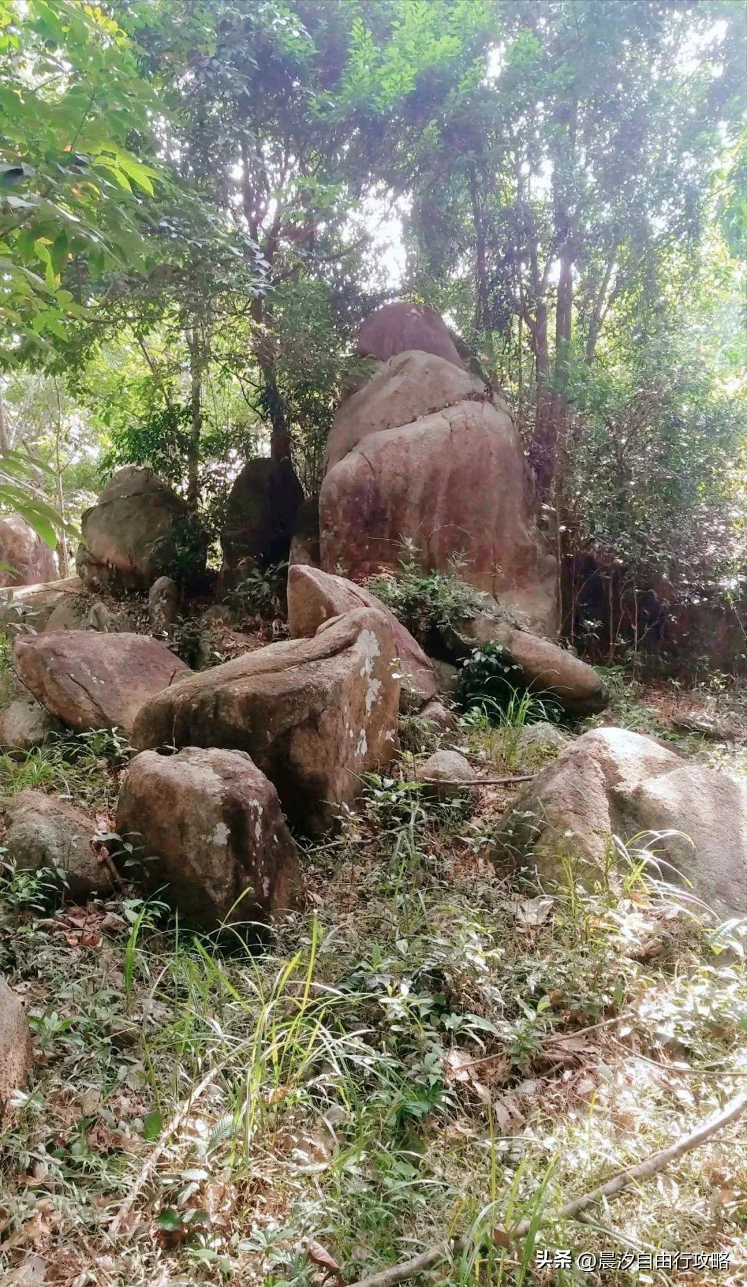 桥头富硒地瓜种植户