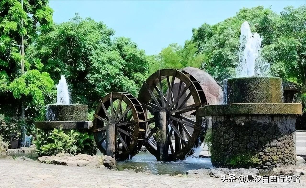 桥头富硒地瓜种植户