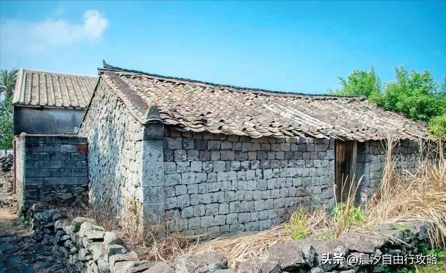 桥头富硒地瓜种植户