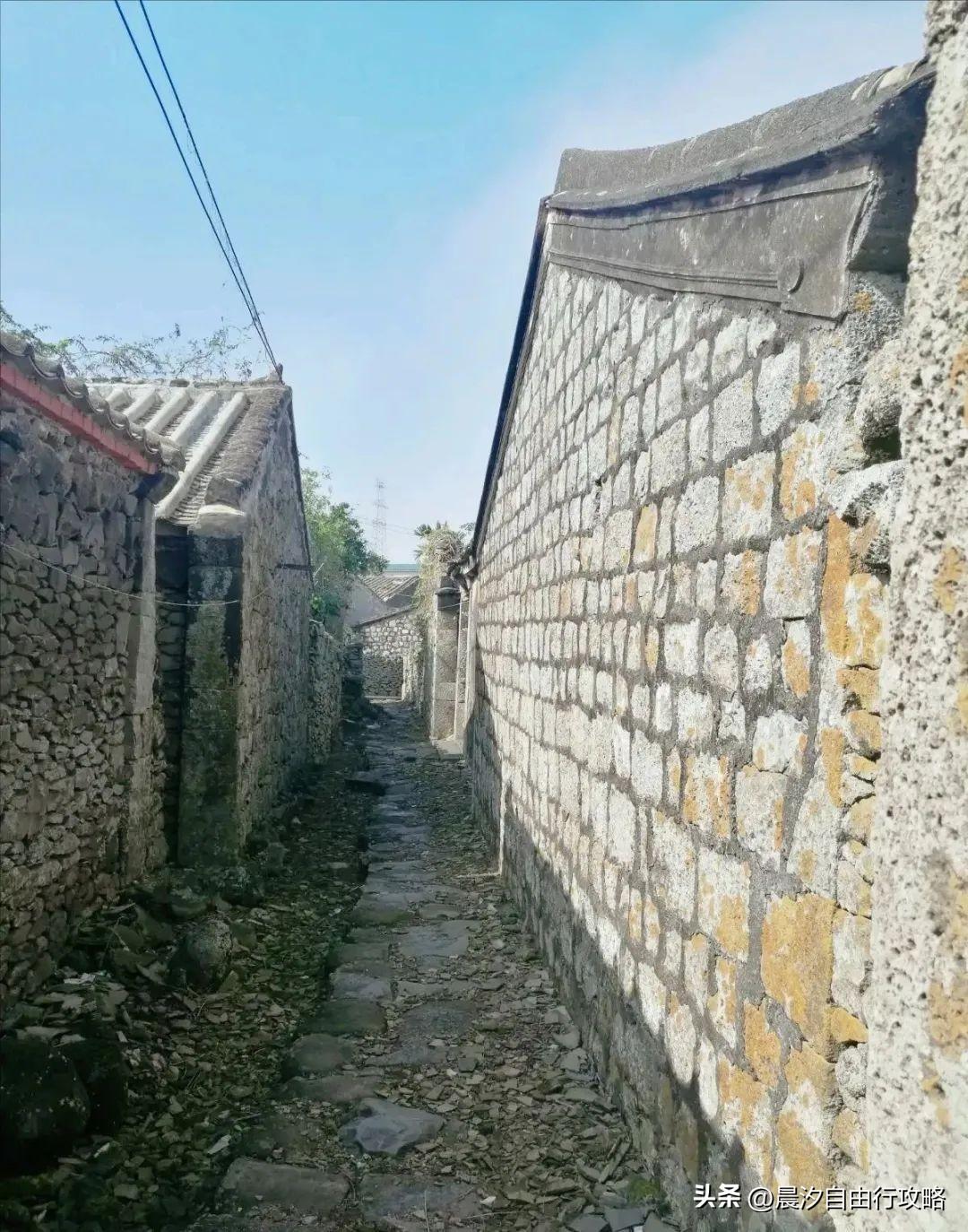 桥头富硒地瓜种植户