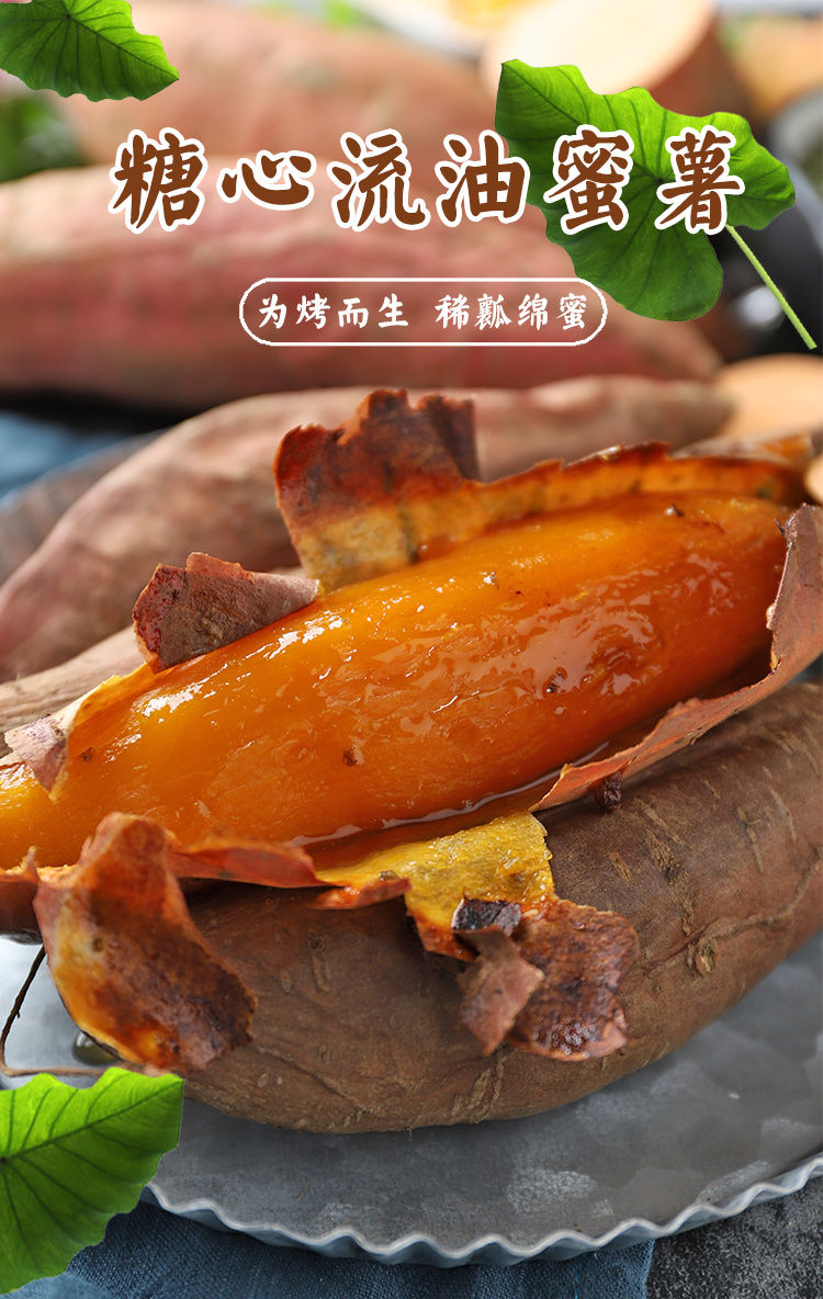 淄博哪里有富硒地瓜