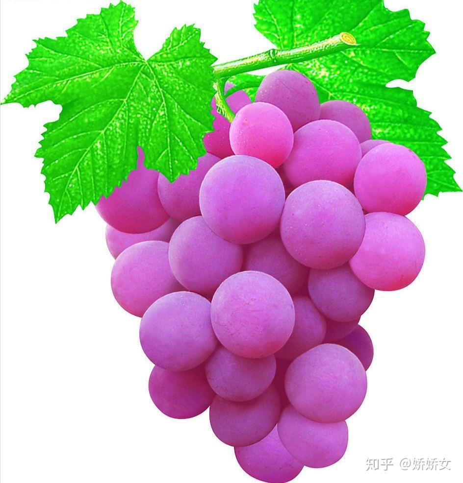 孕妇补铁吃什么水果
