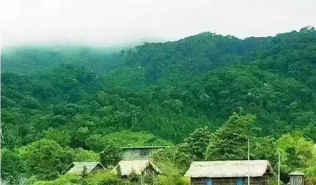 富硒地瓜叫北京红吗