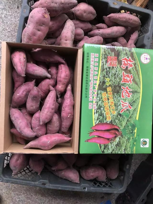 桥头富硒地瓜必买店