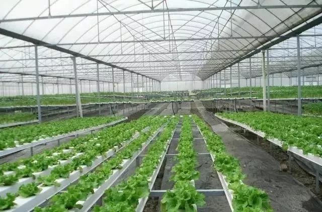 蔬菜富硒营养液配方