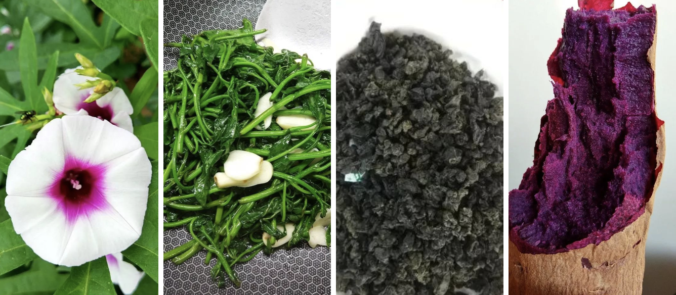 富硒水培蔬菜的营养