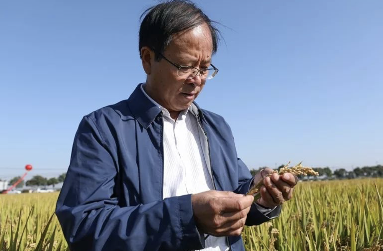 富硒水培蔬菜的营养
