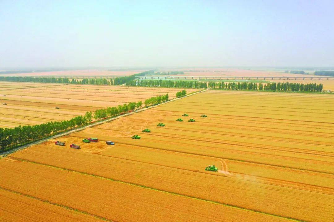 新建村富硒蔬菜基地