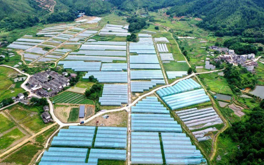 富硒蔬菜种植技术6(蔬菜种植富硒技术方法)-硒宝网