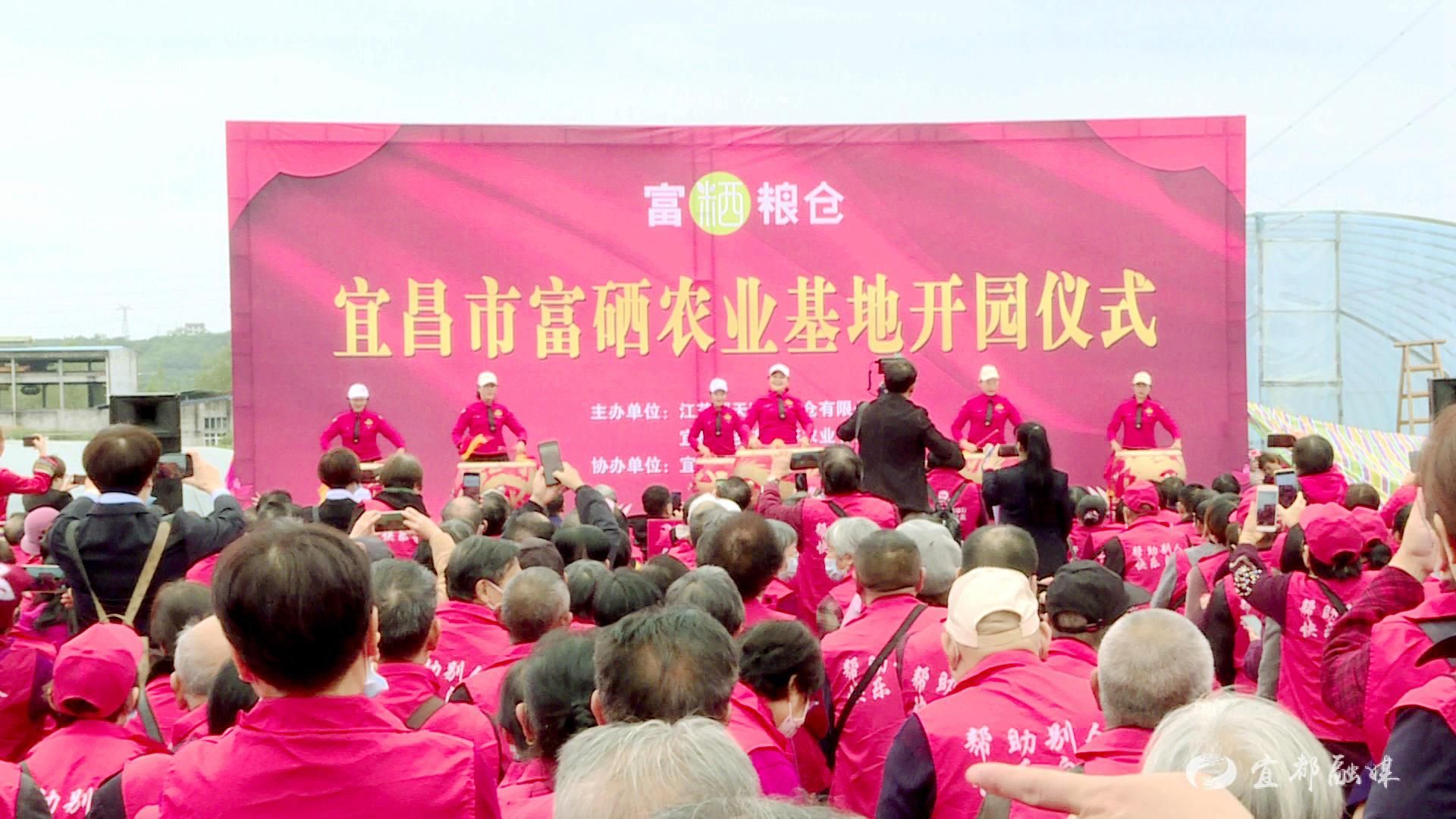 富硒蔬菜基地出租吗