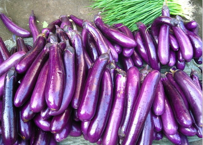 富硒蔬菜基地出租吗(蔬菜基地赚钱吗)-硒宝网