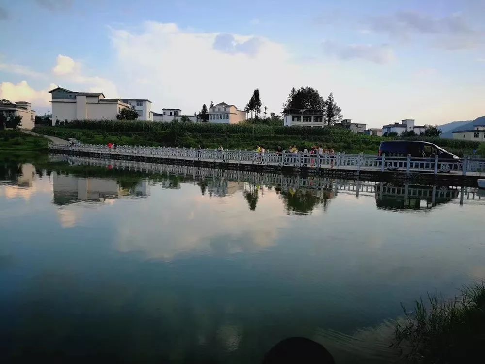 野三关高山富硒蔬菜(野三关富硒地)-硒宝网