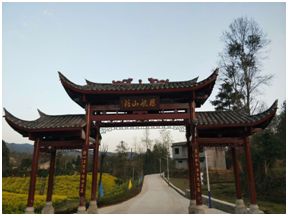 野三关高山富硒蔬菜(野三关富硒地)-硒宝网