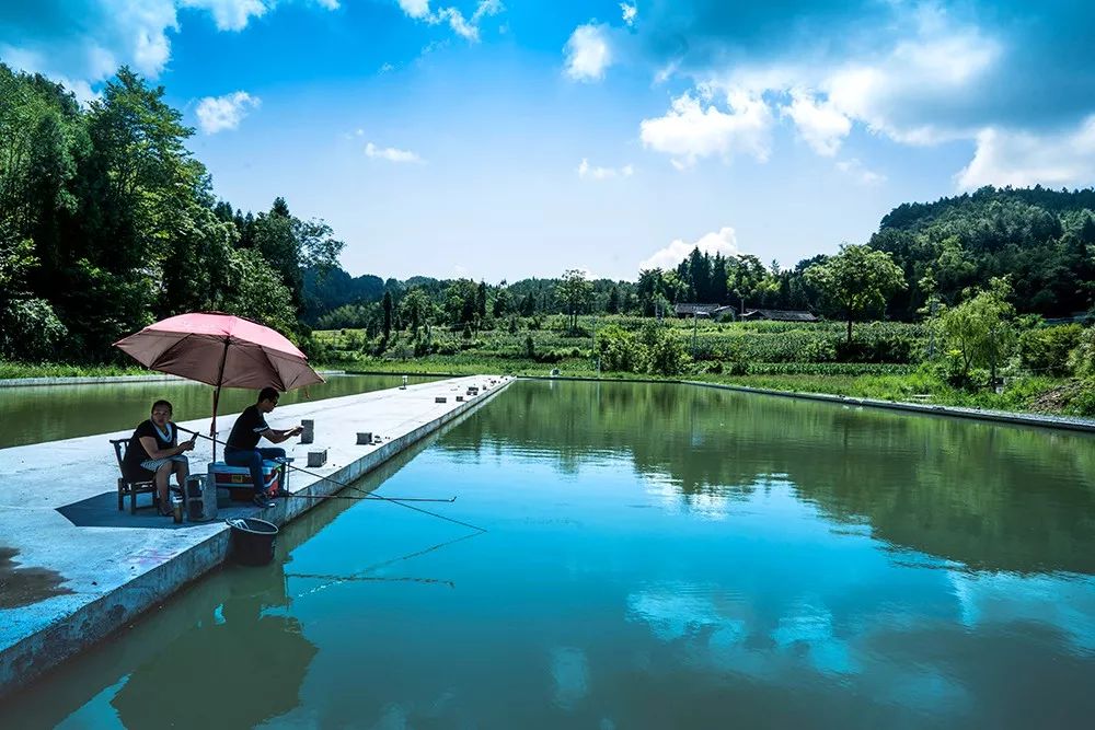 野三关高山富硒蔬菜(野三关富硒地)-硒宝网