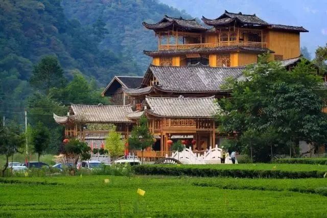 野三关高山富硒蔬菜(野三关富硒地)-硒宝网