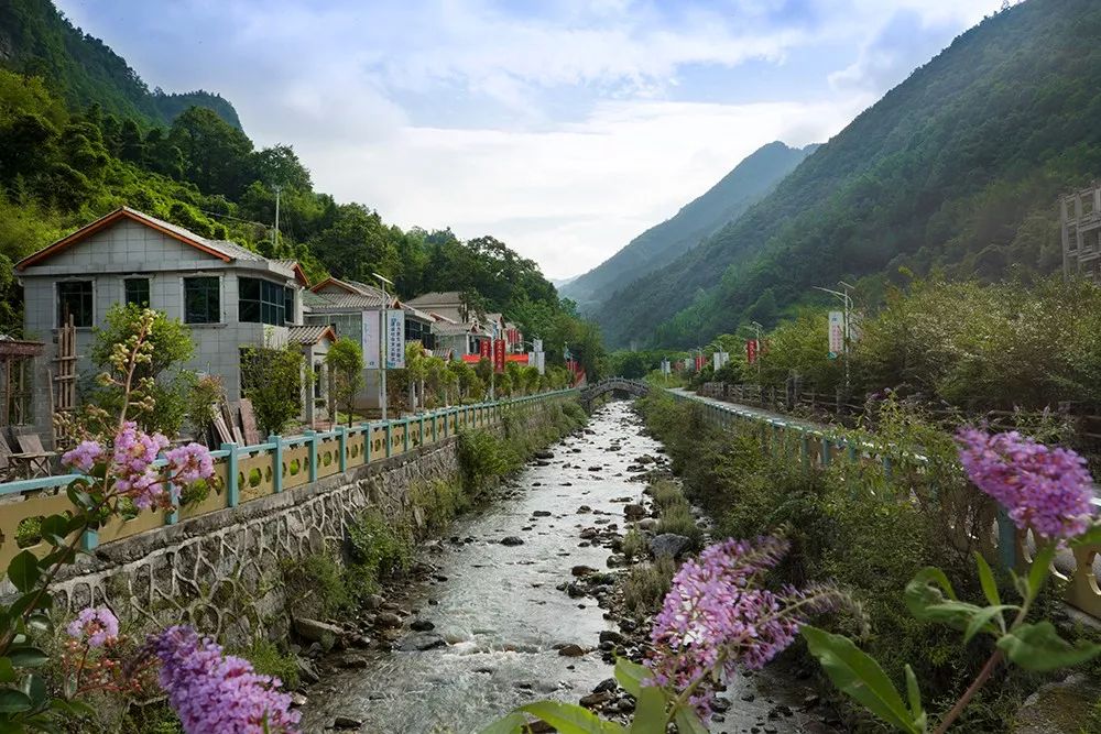 野三关高山富硒蔬菜(野三关富硒地)-硒宝网