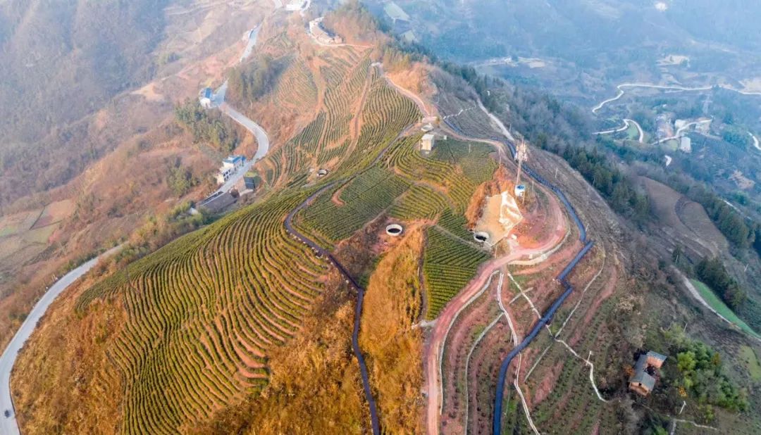 野三关高山富硒蔬菜(野三关富硒地)-硒宝网