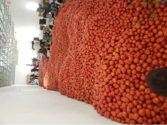 野三关高山富硒蔬菜(野三关富硒地)-硒宝网