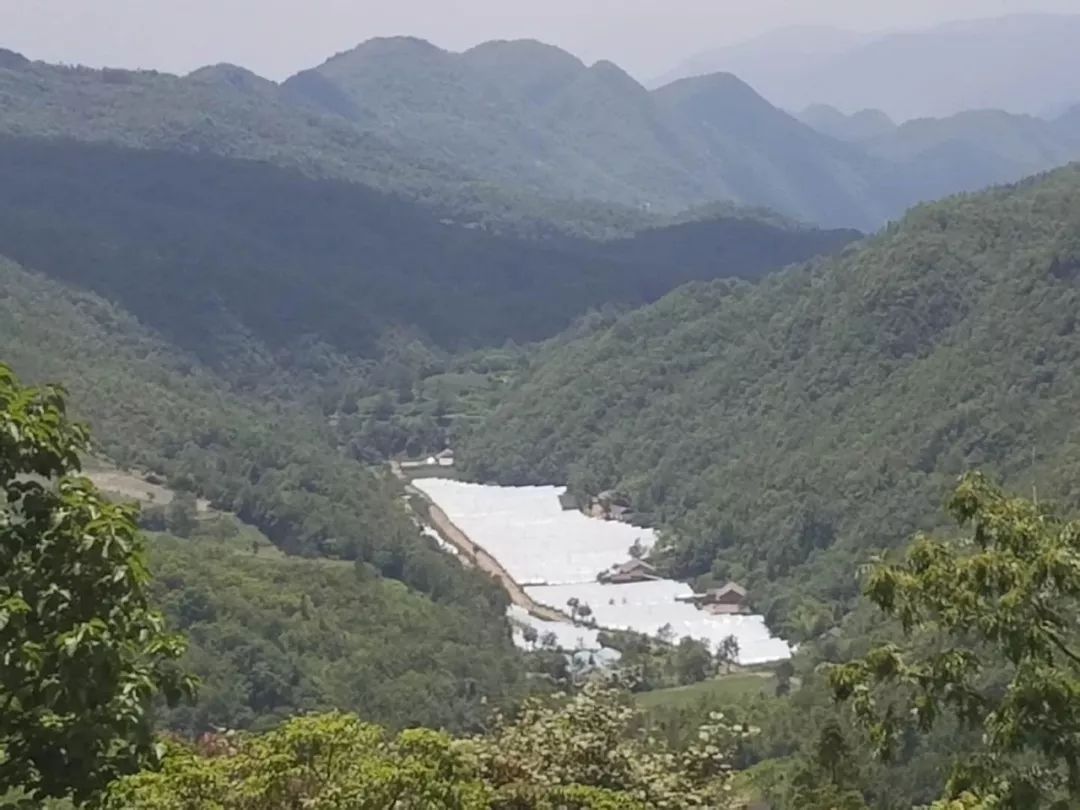 野三关高山富硒蔬菜(野三关富硒地)-硒宝网