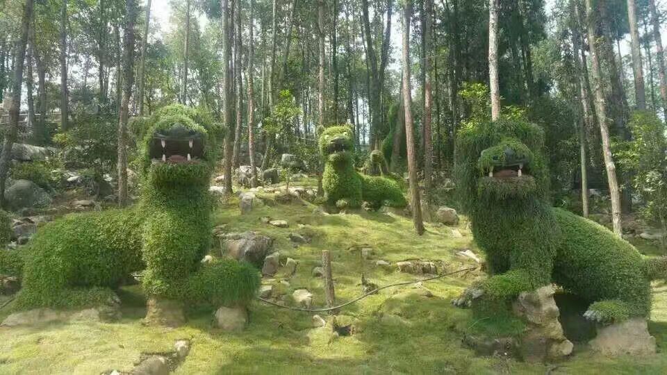 野三关高山富硒蔬菜(野三关富硒地)-硒宝网