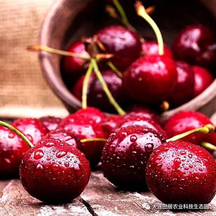 富硒水果孕妇能吃吗