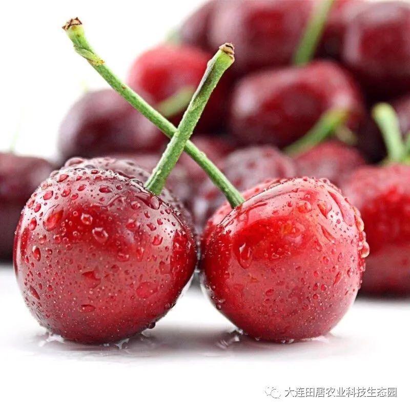 富硒水果孕妇能吃吗
