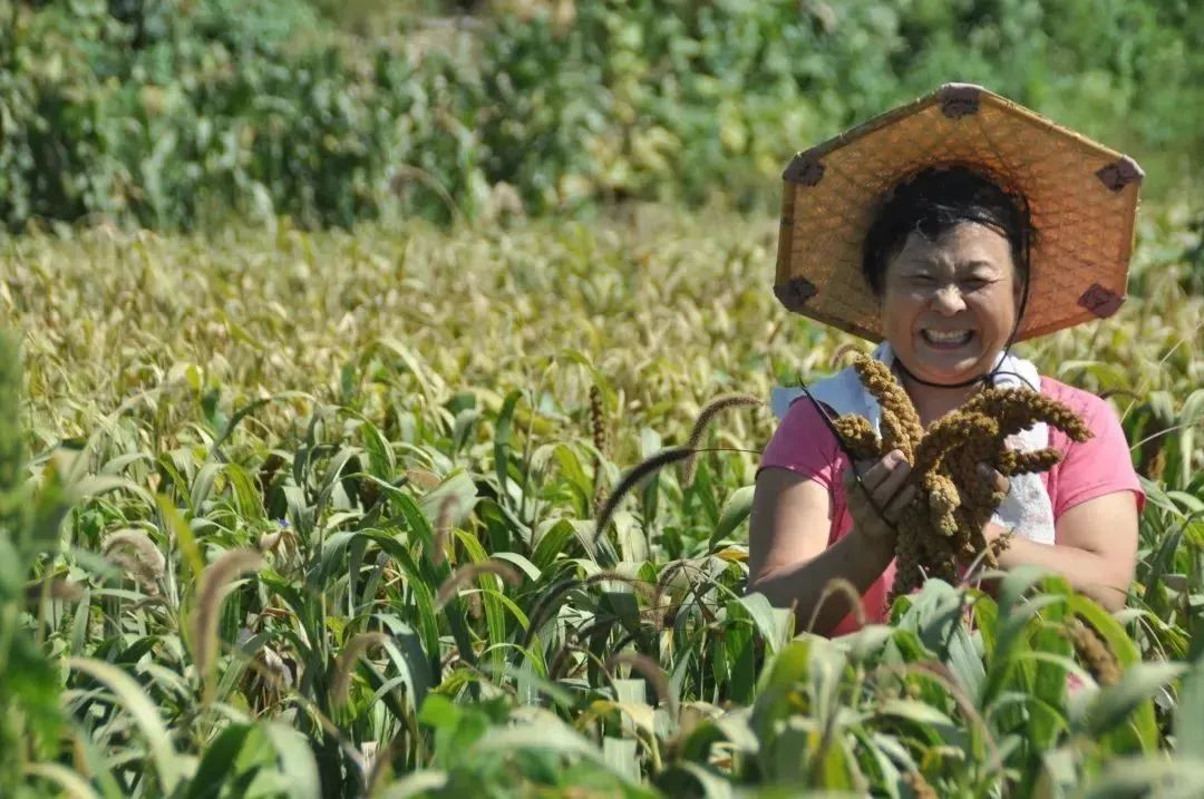 博山富硒水果哪家好