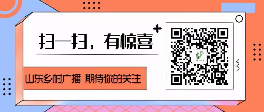 周村富硒水果哪家好
