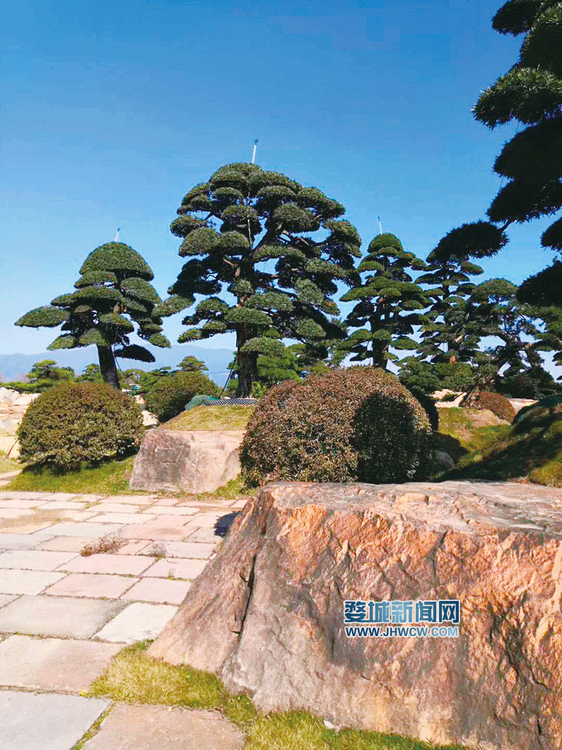 蒋堂镇富硒水果基地