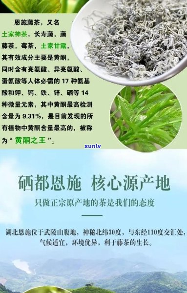 恩富硒藤茶价格表大全，全网更低！恩富硒藤茶价格表大揭秘