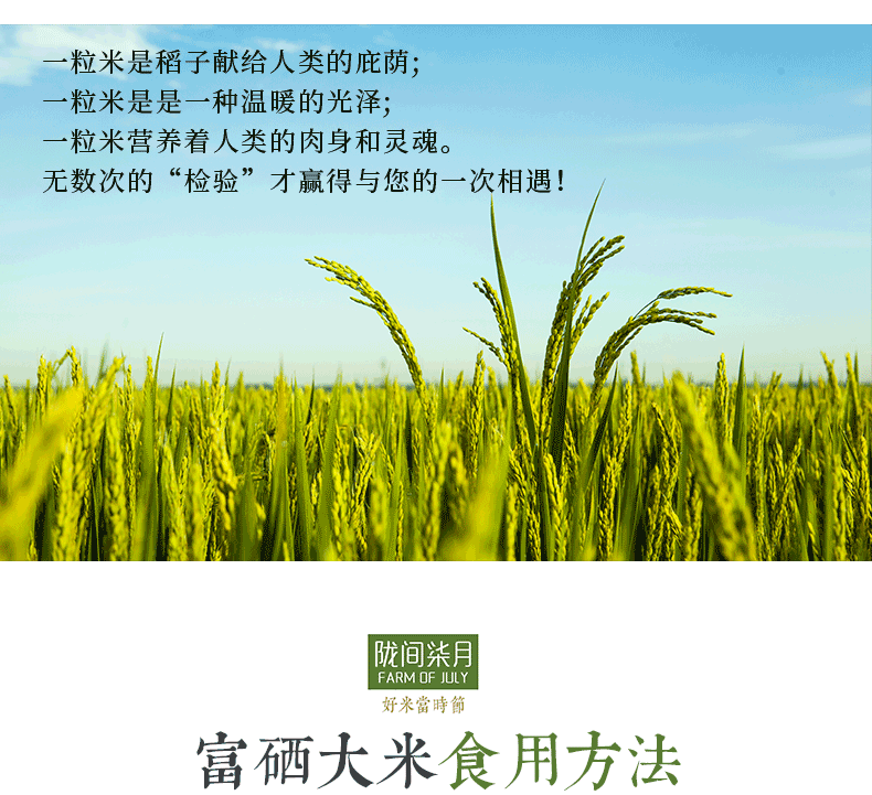 全国硒产品市场规模