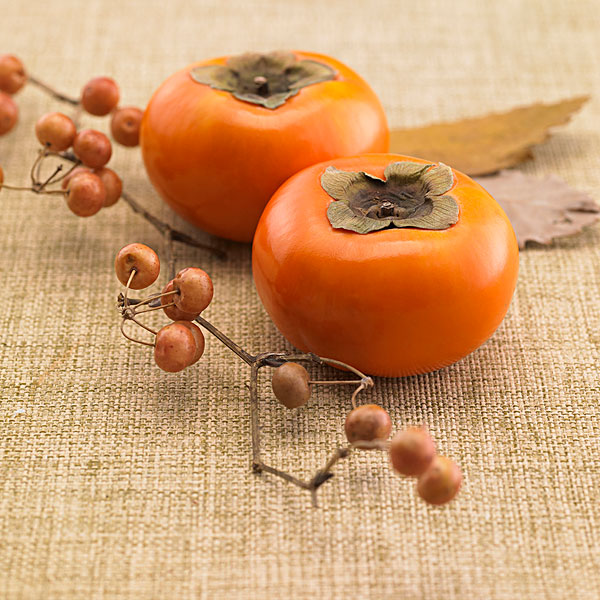 纳米硒源产品是什么(纳米硒的价格是多少)-硒宝网