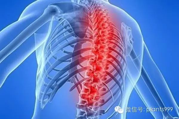 硒多宝产品介绍视频