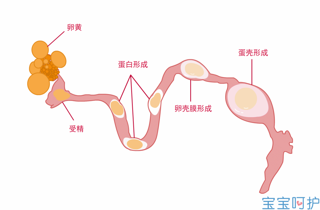 幼儿可以吃硒产品吗