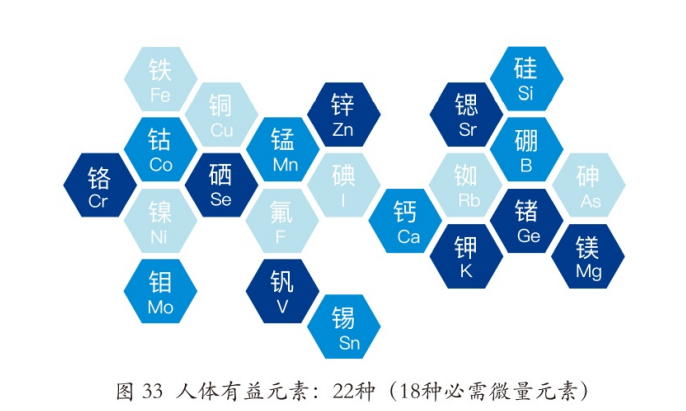 微量元素检查挂什么科