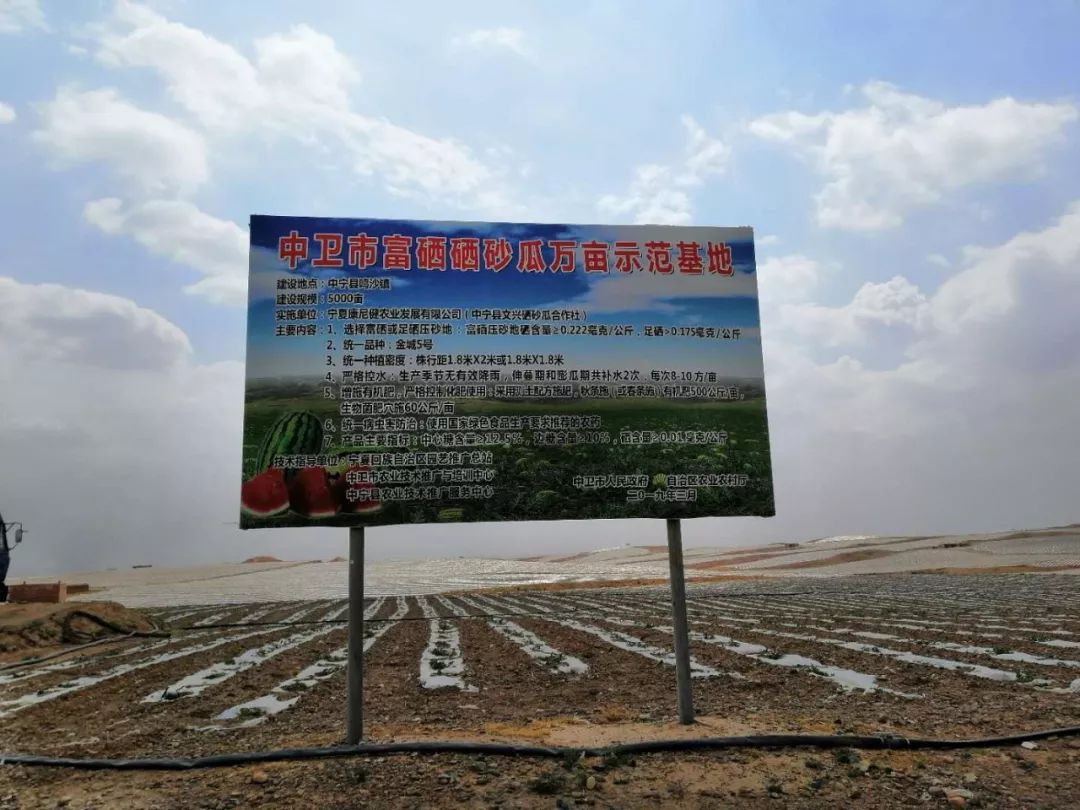 硒砂瓜产品介绍图文