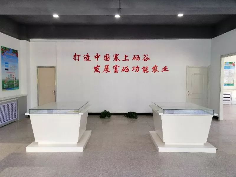 硒砂瓜产品介绍图文