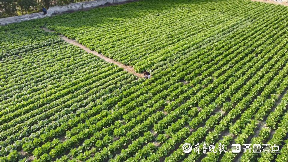 淘宝卖硒产品怎么样