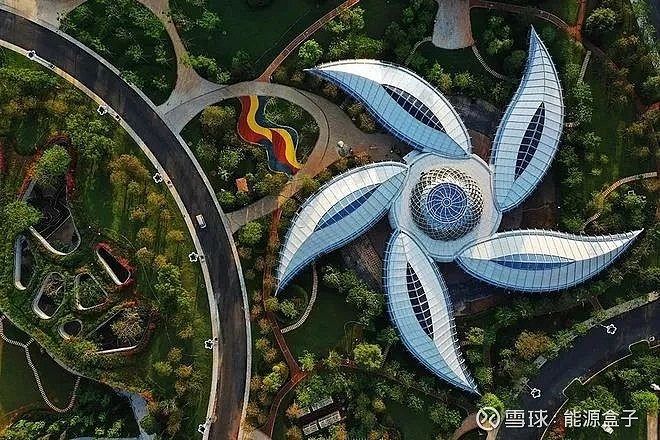 硒产品文化墙效果图