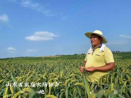 山东富硒农产品农场(山东富硒农业科技有限公司)-硒宝网