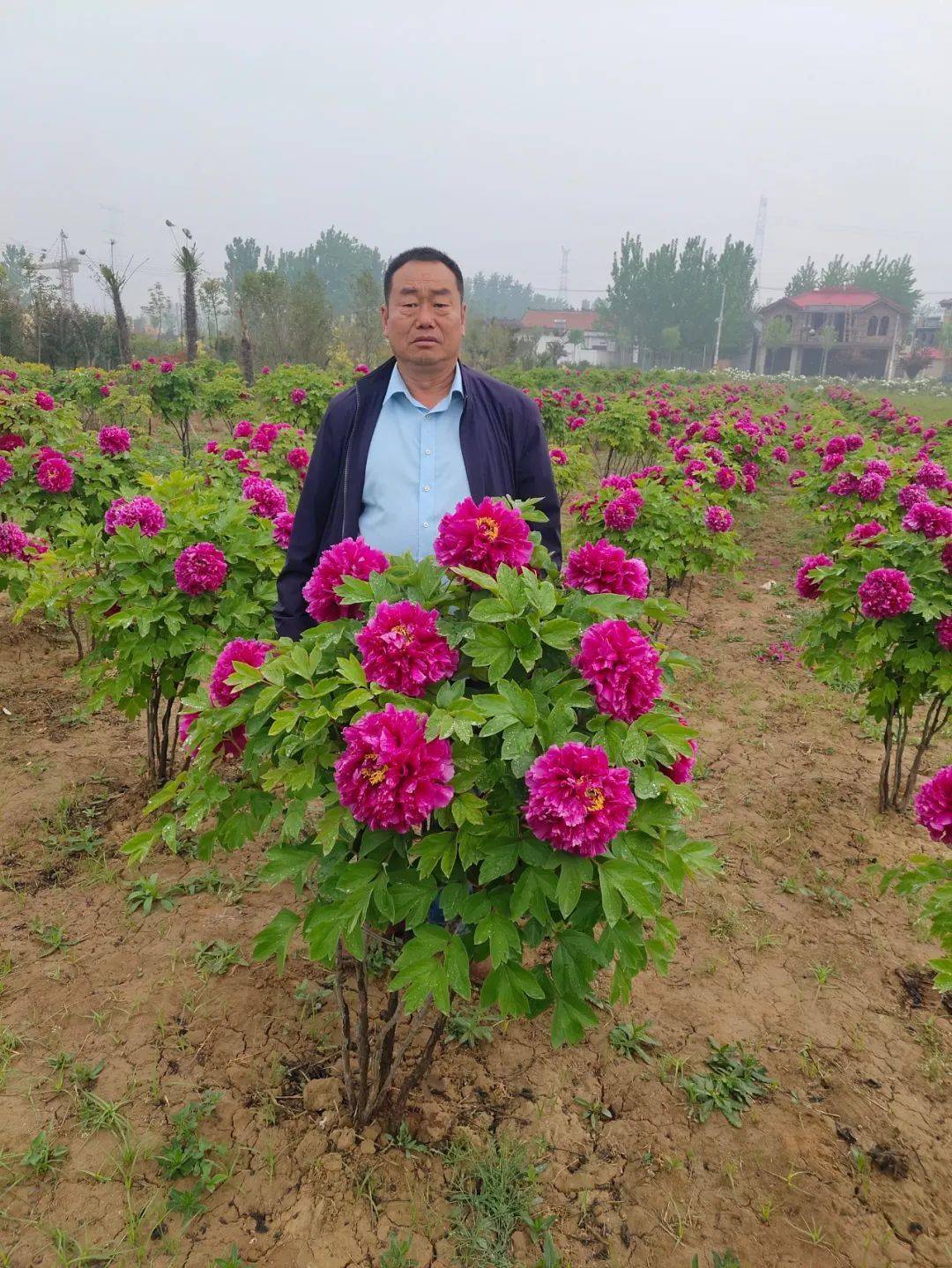 山东富硒农产品农?。ㄉ蕉晃┮悼萍加邢薰荆?硒宝网